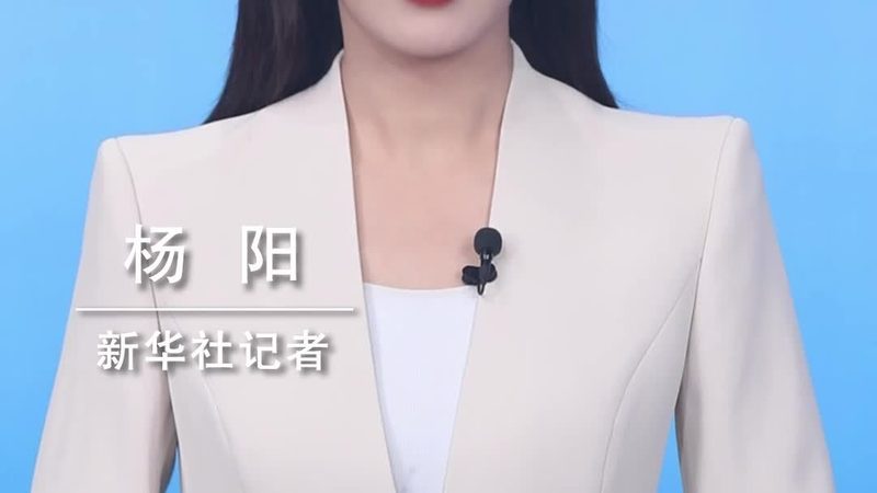 数据治理标准规范与数据质量规范：内涵与差异解析